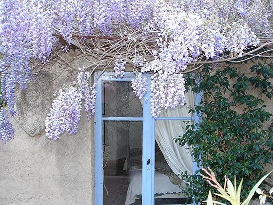 Chambre Olive terrasse