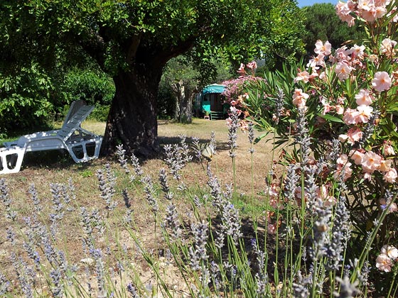Gypsy Caravan garden